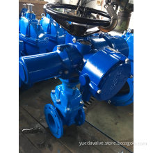Electric Gate Valve DIN/BS Double Flange Non-Rising Stem